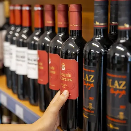 约卡马尔露营酒店 营地